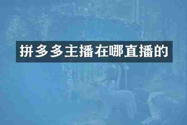 拼多多主播在哪直播的