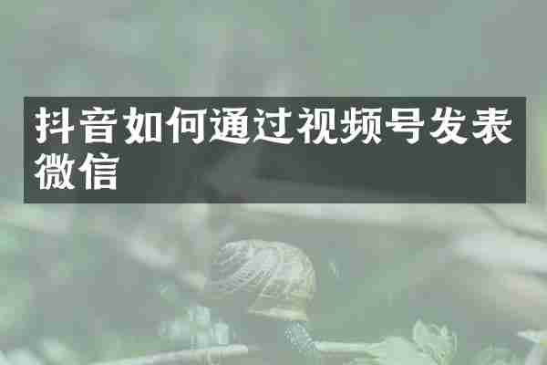 抖音如何通过视频号发表微信