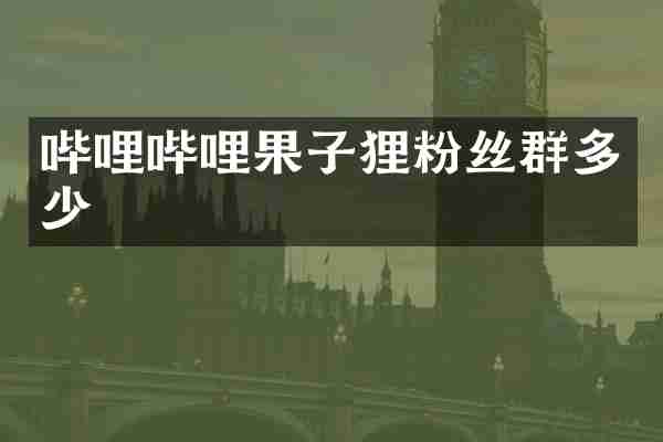 哔哩哔哩果子狸粉丝群多少