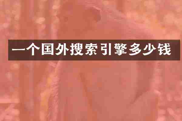 一个国外搜索引擎多少钱