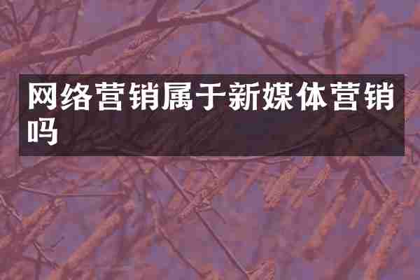 网络营销属于新媒体营销吗