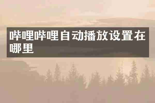 哔哩哔哩自动播放设置在哪里