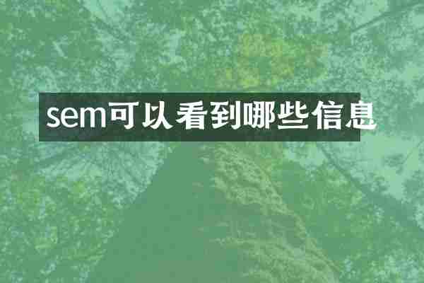 sem可以看到哪些信息