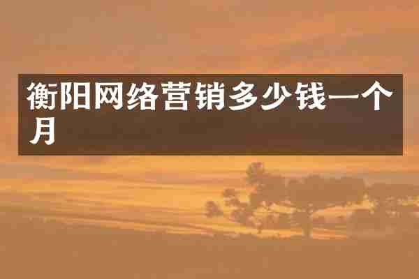 衡阳网络营销多少钱一个月