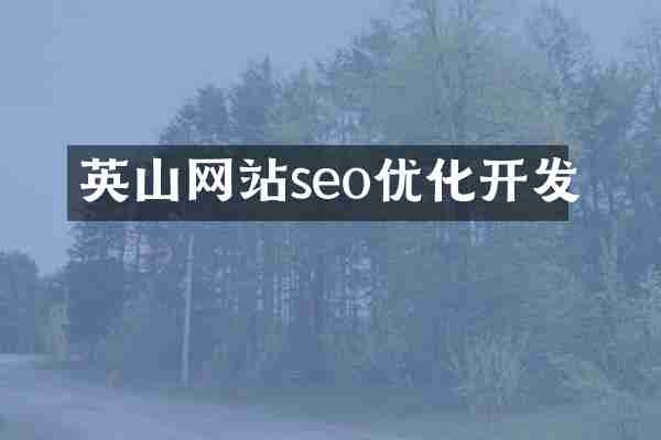 英山网站seo优化开发