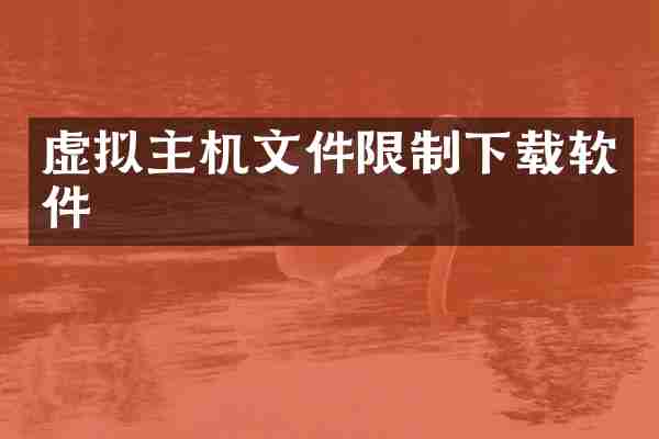 虚拟主机文件限制下载软件