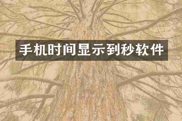 手机时间显示到秒软件