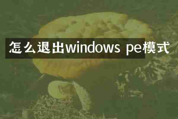 怎么退出windows pe模式