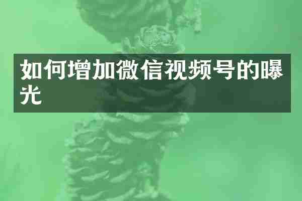 如何增加微信视频号的曝光
