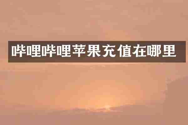 哔哩哔哩苹果充值在哪里