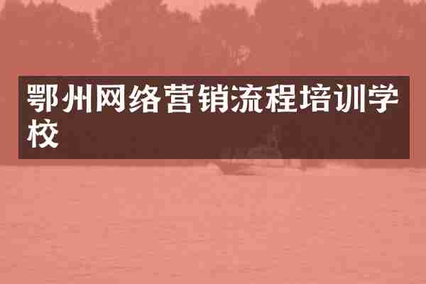 鄂州网络营销流程培训学校