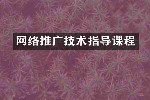 网络推广技术指导课程
