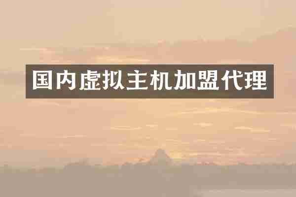 国内虚拟主机加盟代理