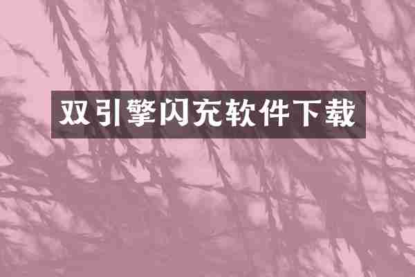 双引擎闪充软件下载