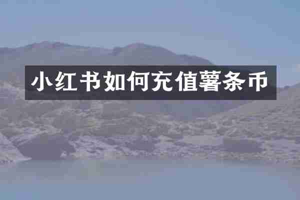 小红书如何充值薯条币