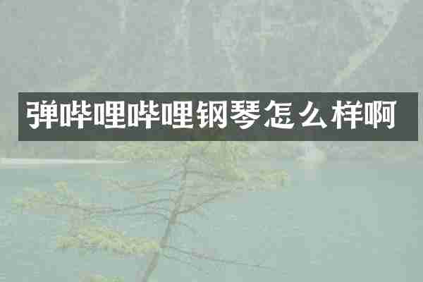 弹哔哩哔哩钢琴怎么样啊