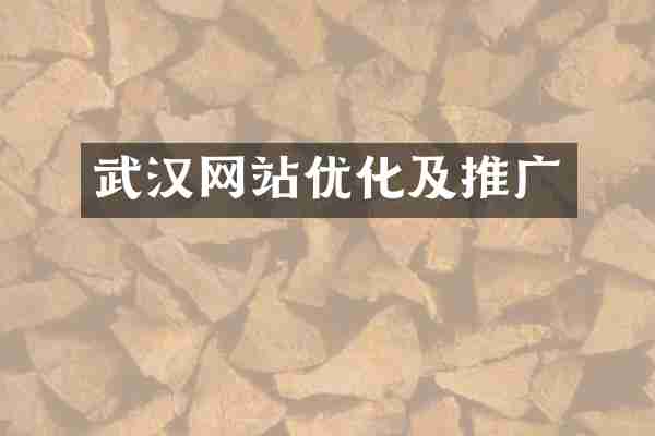 武汉网站优化及推广