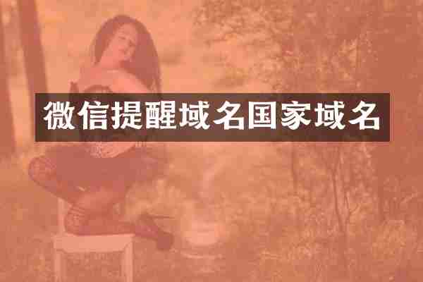 微信提醒域名国家域名