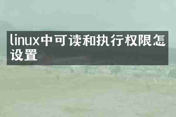 linux中可读和执行权限怎么设置