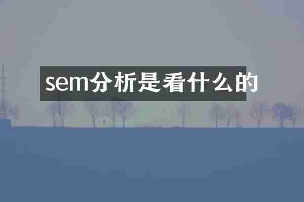 sem分析是看什么的