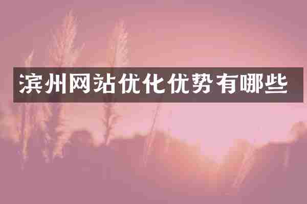 滨州网站优化优势有哪些