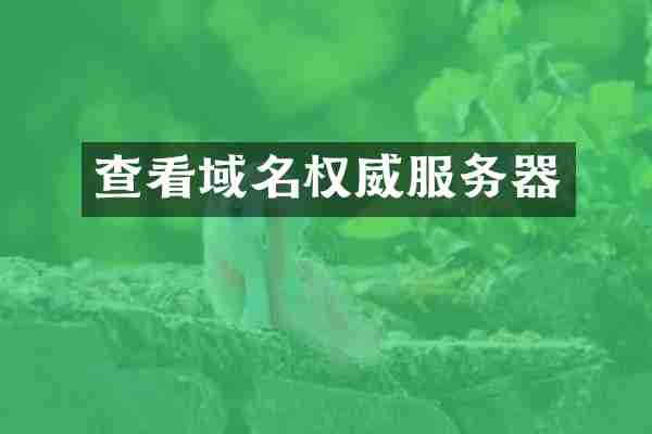 查看域名权威服务器