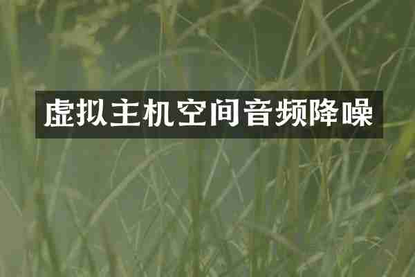 虚拟主机空间音频降噪