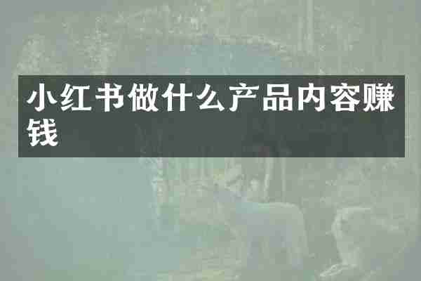 小红书做什么产品内容赚钱