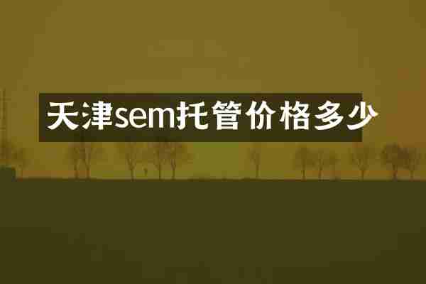 天津sem托管价格多少