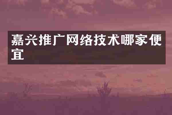 嘉兴推广网络技术哪家便宜