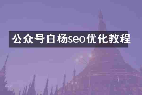 公众号白杨seo优化教程