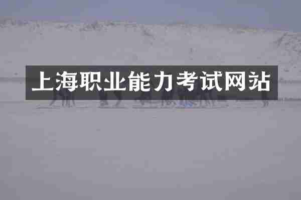 上海职业能力考试网站