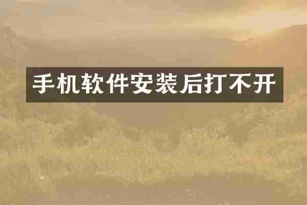 手机软件安装后打不开
