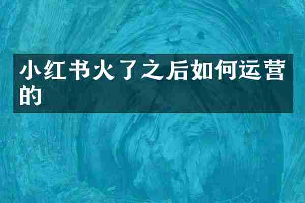 小红书火了之后如何运营的