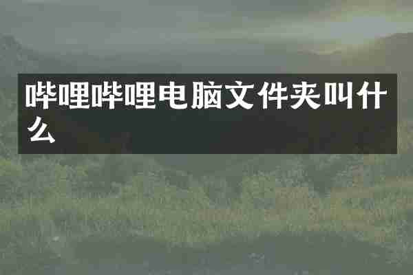哔哩哔哩电脑文件夹叫什么