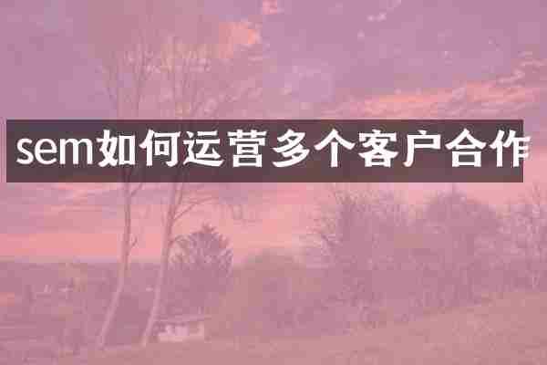 sem如何运营多个客户合作