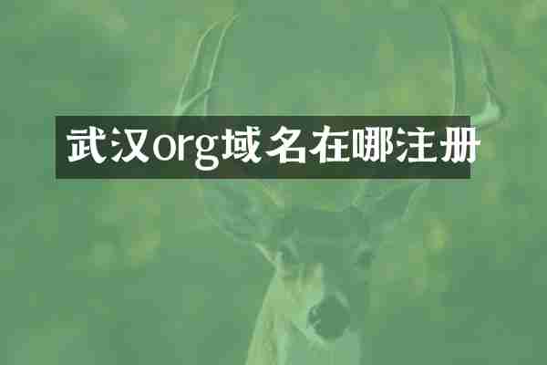 武汉org域名在哪注册