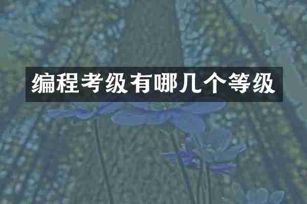 编程考级有哪几个等级