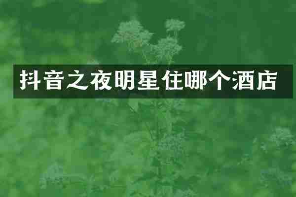 抖音之夜明星住哪个酒店