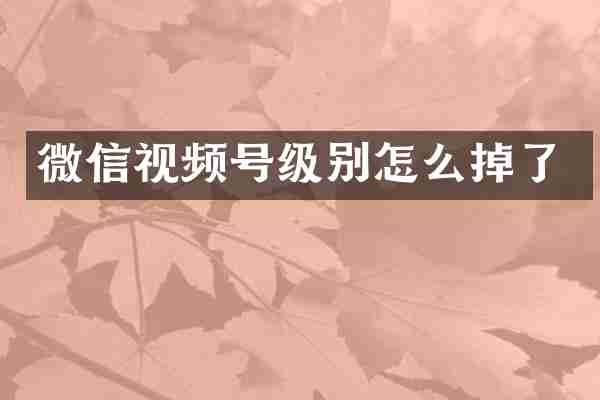 微信视频号级别怎么掉了