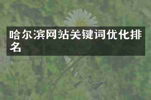 哈尔滨网站关键词优化排名