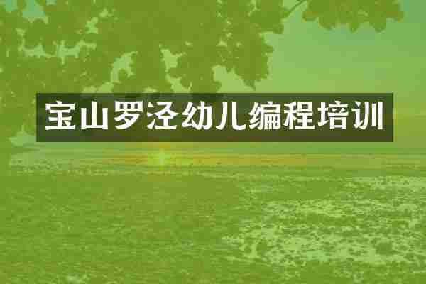 宝山罗泾幼儿编程培训