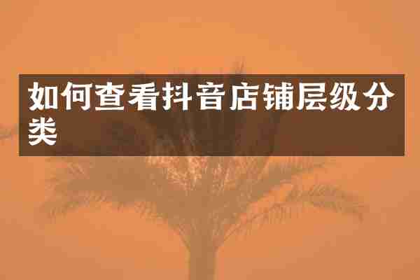 如何查看抖音店铺层级分类