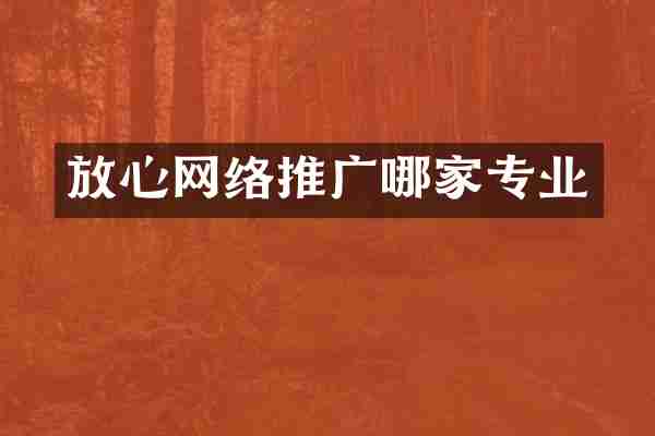 放心网络推广哪家专业