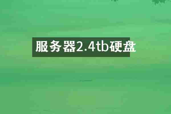 服务器2.4tb硬盘