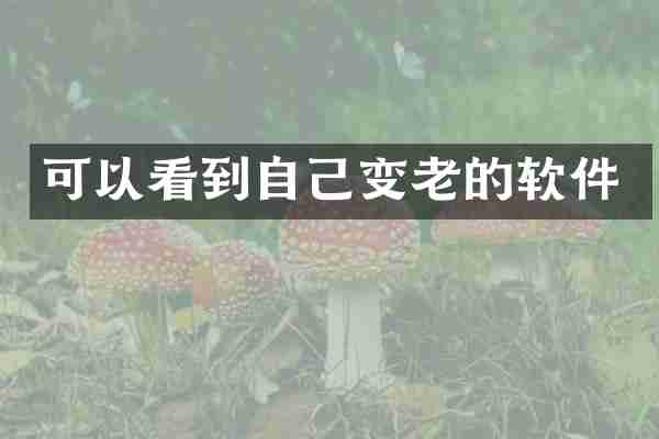 可以看到自己变老的软件