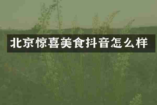 北京惊喜美食抖音怎么样