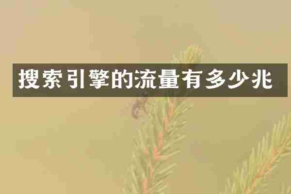 搜索引擎的流量有多少兆
