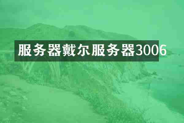 服务器戴尔服务器3006