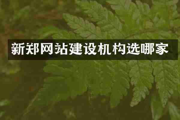 新郑网站建设机构选哪家